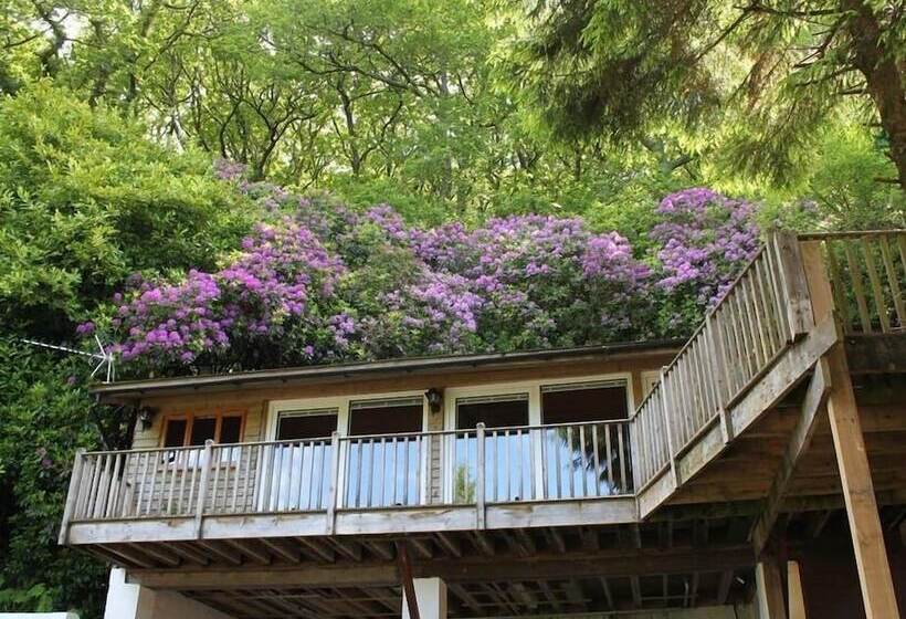 Treetops