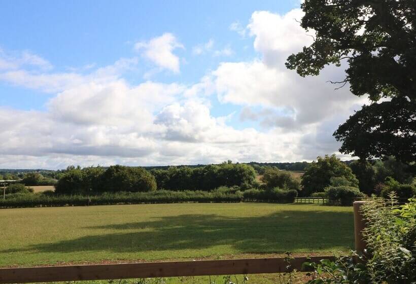Upham View