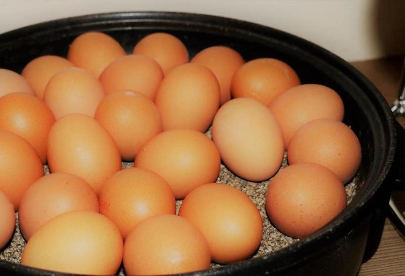 Hotelli Scope  Greif