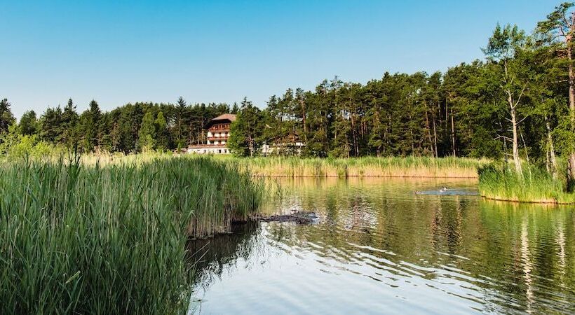 ホテル Waldsee