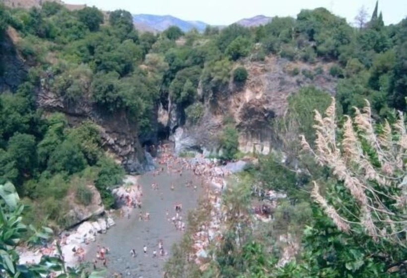 Il Vigneto   Bed & Breakfast