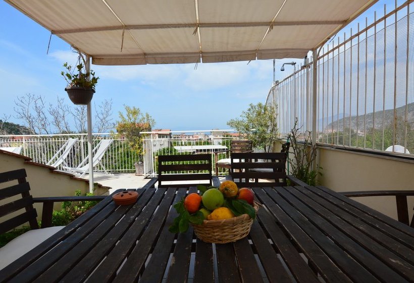 La Terrazza Casa Vacanze