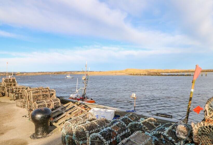 Lower Driftwood