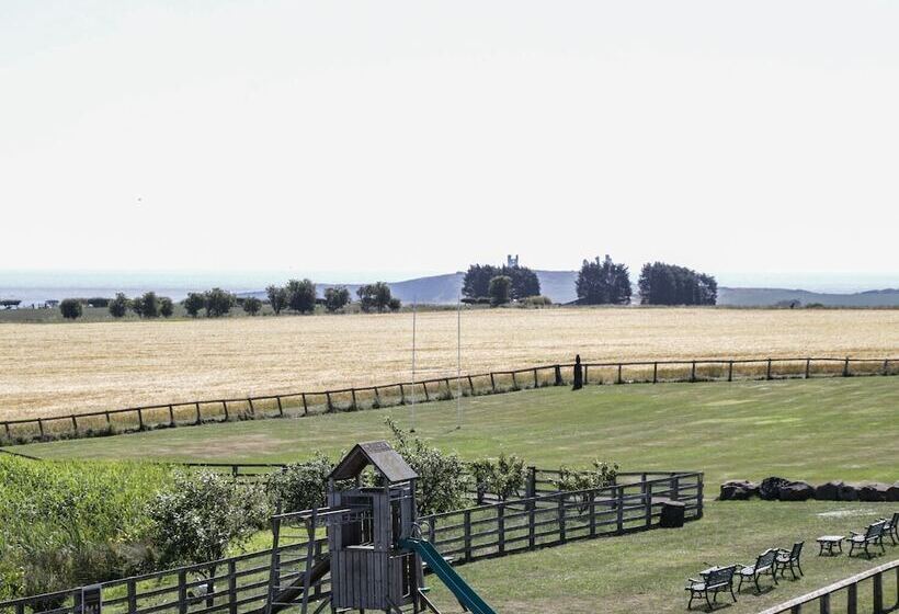 Newton View