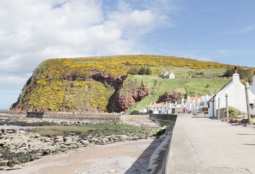 St Magnus Haven
