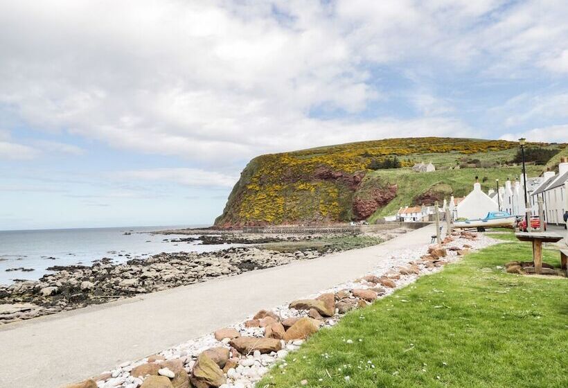 St Magnus Haven