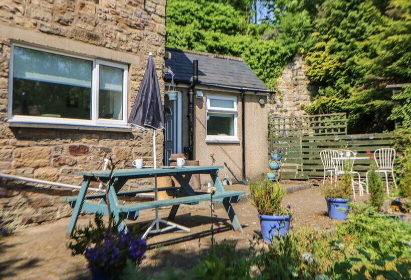 Hollie Cottage