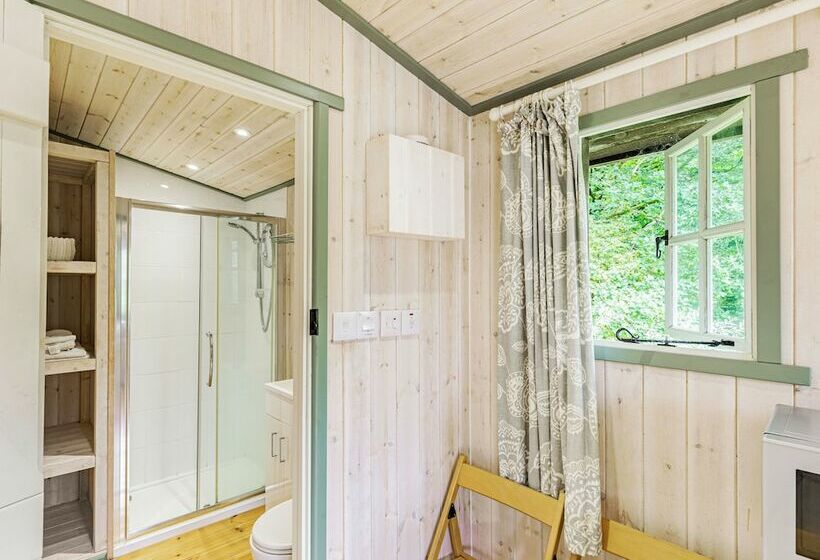Lakeside Cabin