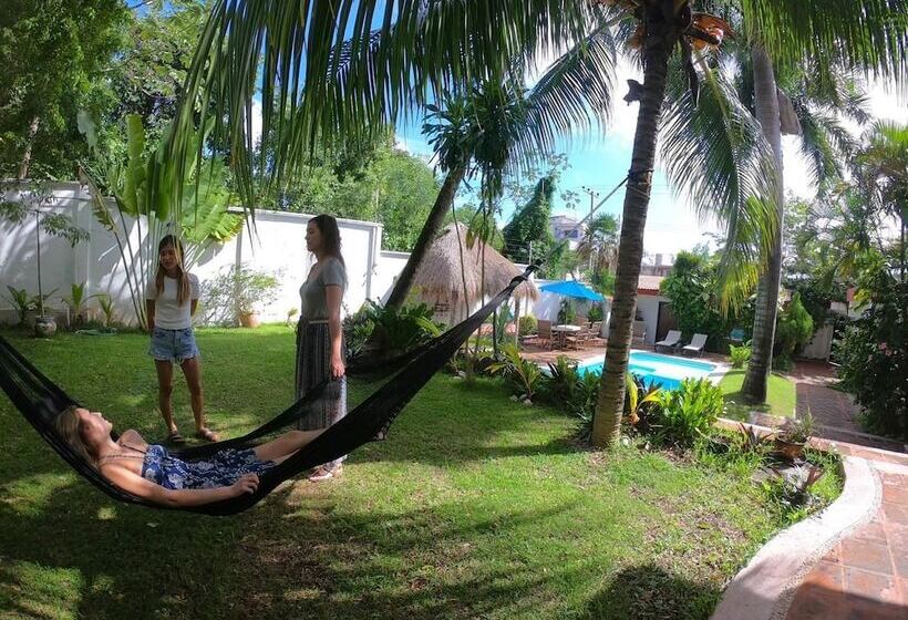 تختخواب و صبحانه Coco Suites Cozumel