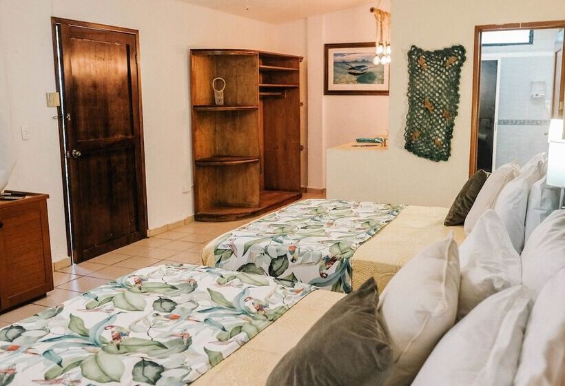 تختخواب و صبحانه Coco Suites Cozumel