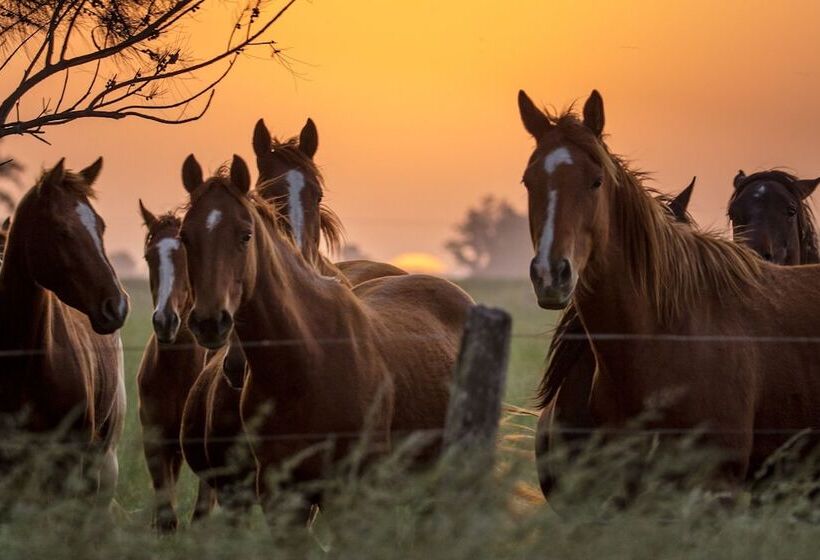 ホテル Estancia La Bandada