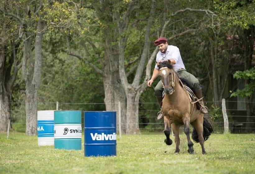 ホテル Estancia La Bandada