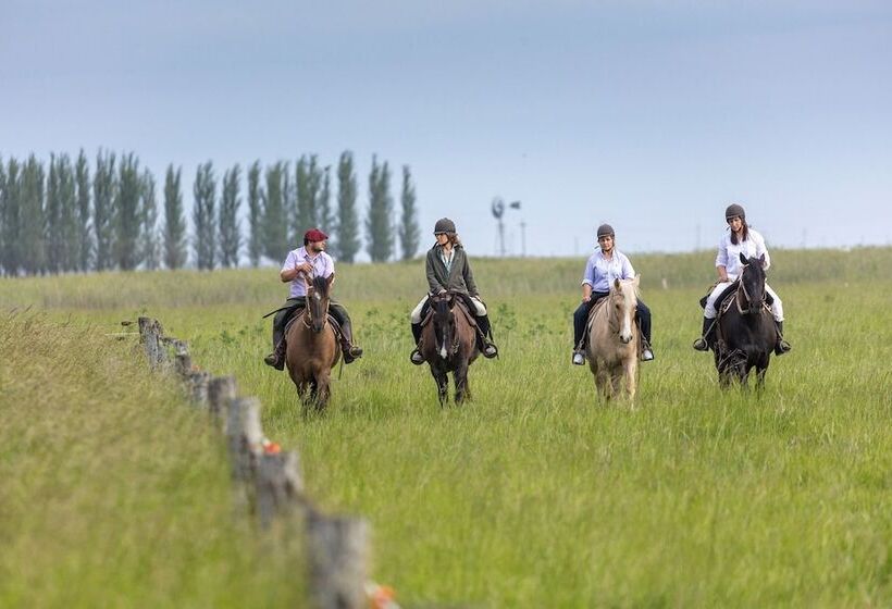 ホテル Estancia La Bandada