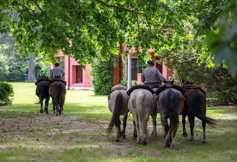 ホテル Estancia La Bandada