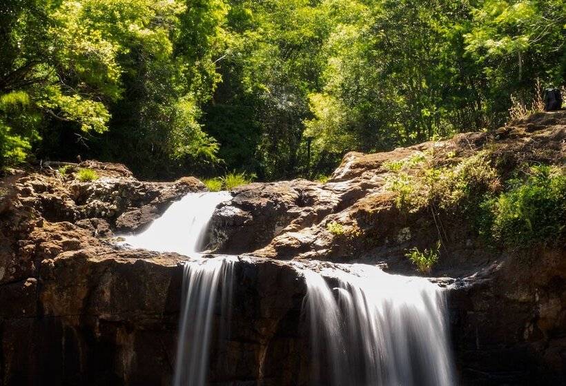 هتل La Mision Macona