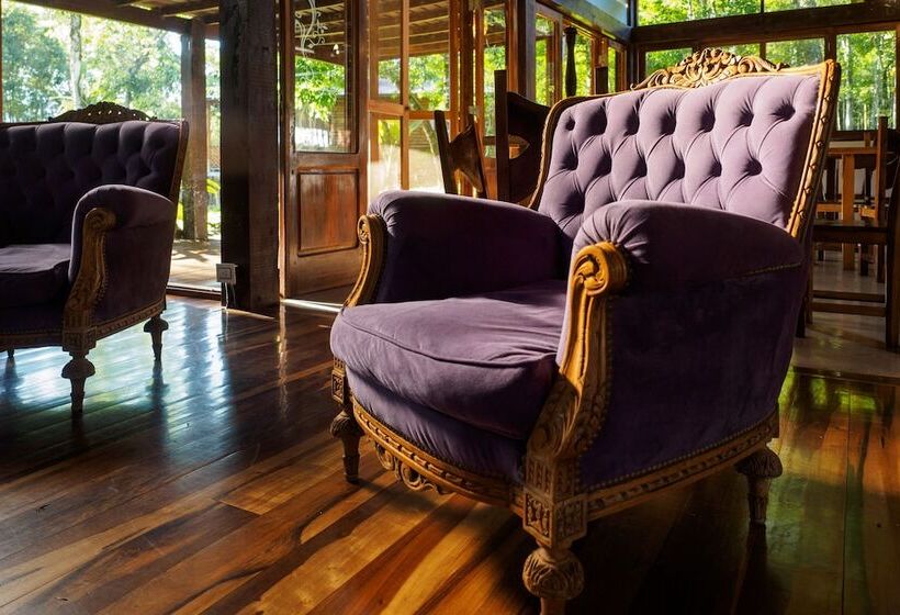 هتل La Mision Macona