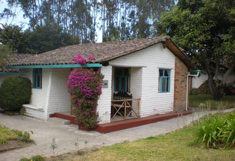 בית מלון כפרי Las Palmeras Inn