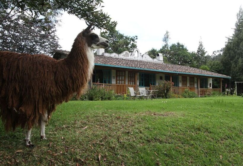 בית מלון כפרי Las Palmeras Inn