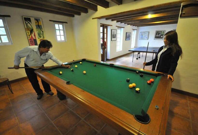 בית מלון כפרי Las Palmeras Inn