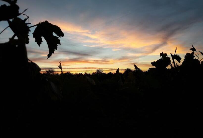 ペンション Gîte Guy