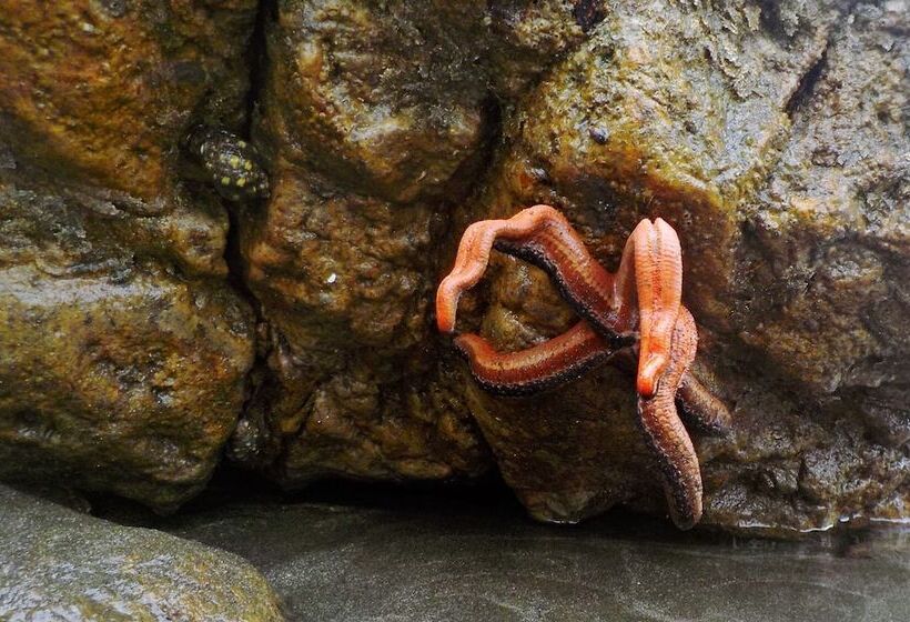 پانسیون Lodge El Amargal Reserva Natural, Ecoturismo & Surf