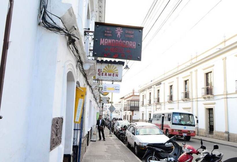 پانسیون Mandragora Hostel