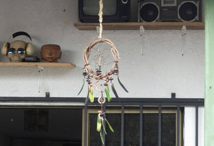 پانسیون Seeds & Roots Raíces Y Semillas