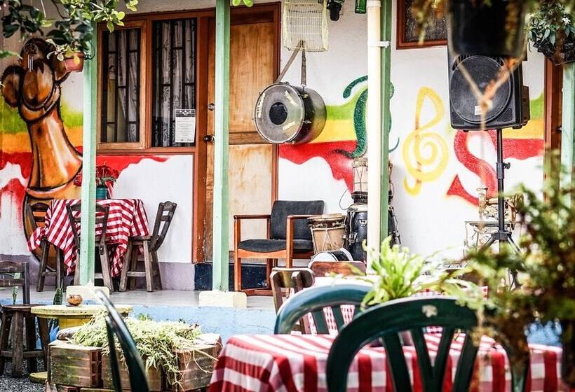 پانسیون Seeds & Roots Raíces Y Semillas