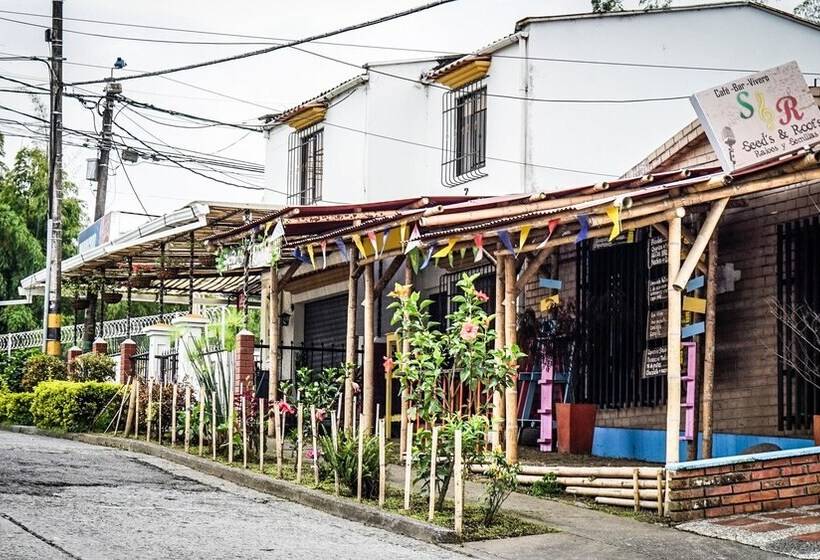 پانسیون Seeds & Roots Raíces Y Semillas