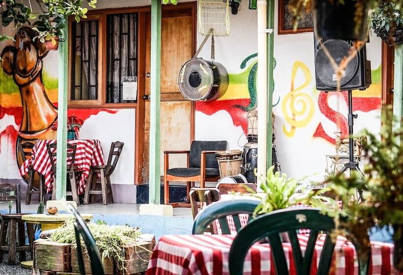 پانسیون Seeds & Roots Raíces Y Semillas