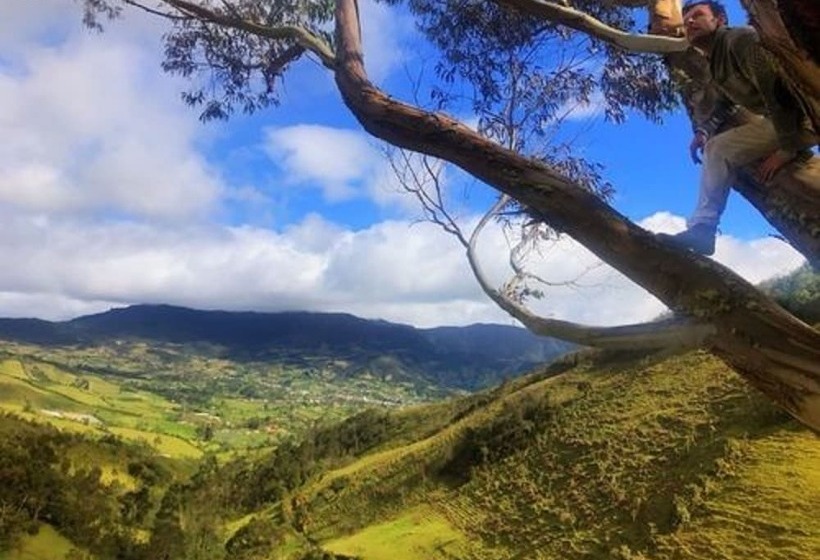 پانسیون The Lost Leprechaun Ecohostel