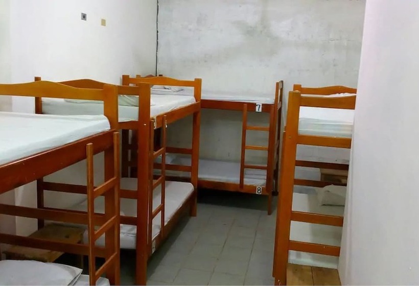 Tauma Hostal & Camping