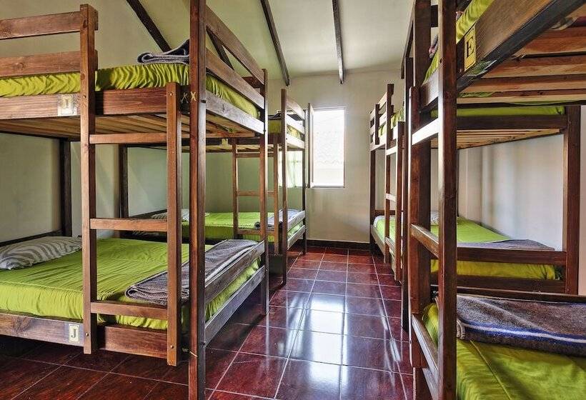 The Celtic Cross   Hostel