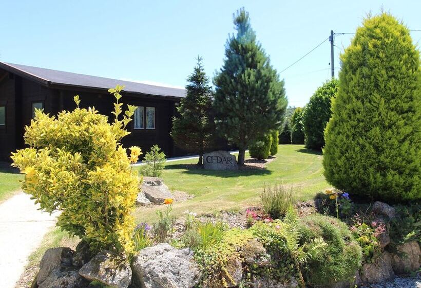 Cedar Lodge