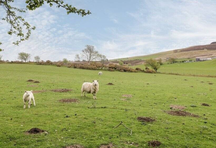Glan Gors