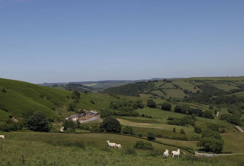 Maesgwyn