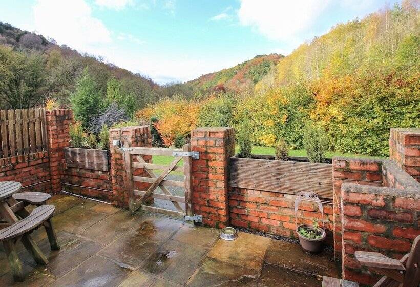 Meadow View