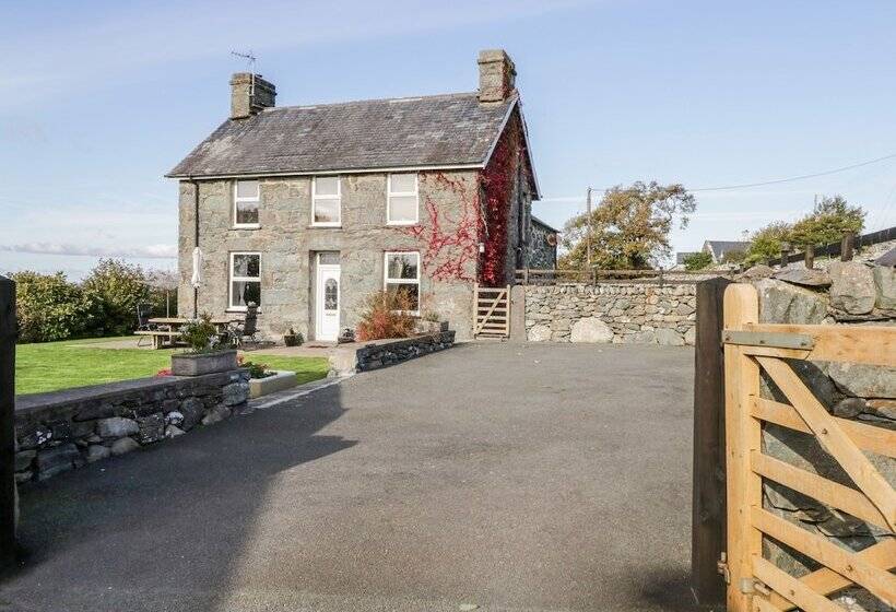 Tyddyn