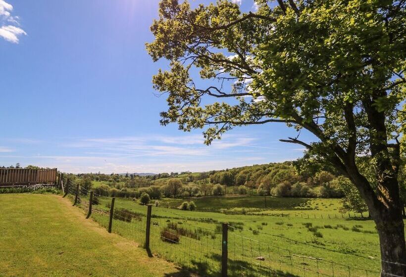 Foxes Meadow