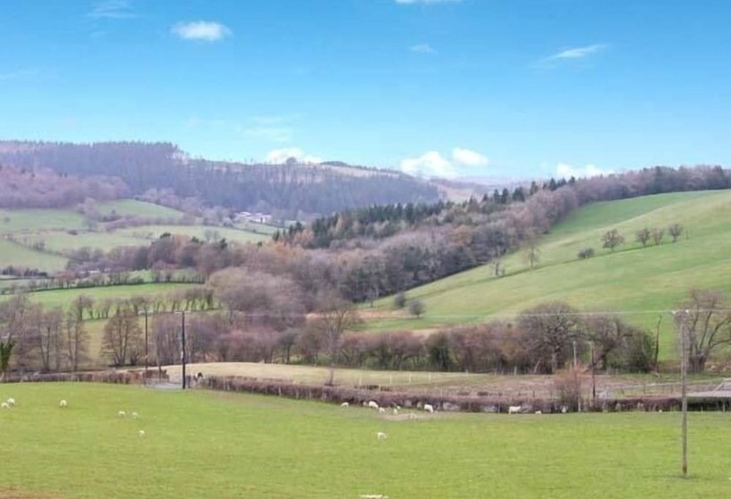 Tyn Y Celyn Canol