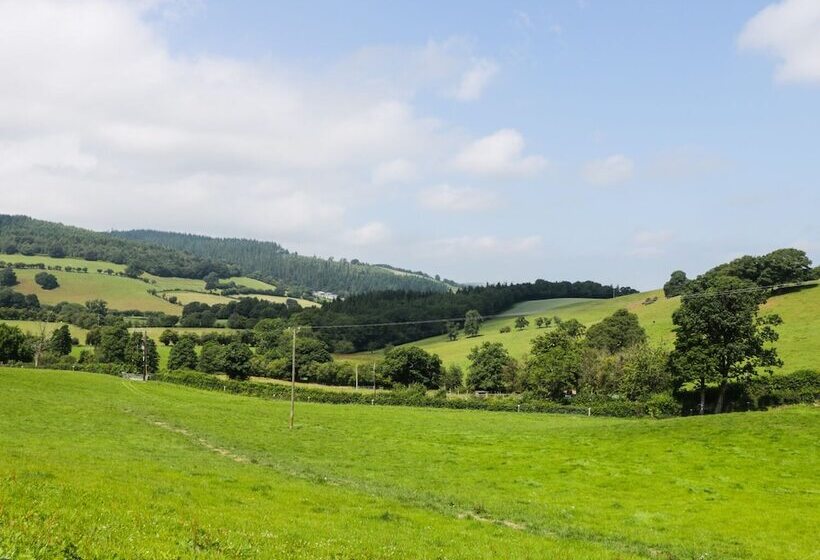 Tyn Y Celyn Isaf