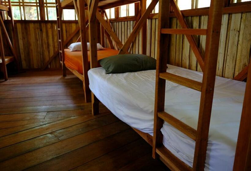 فندق صغير Cascada Elysiana