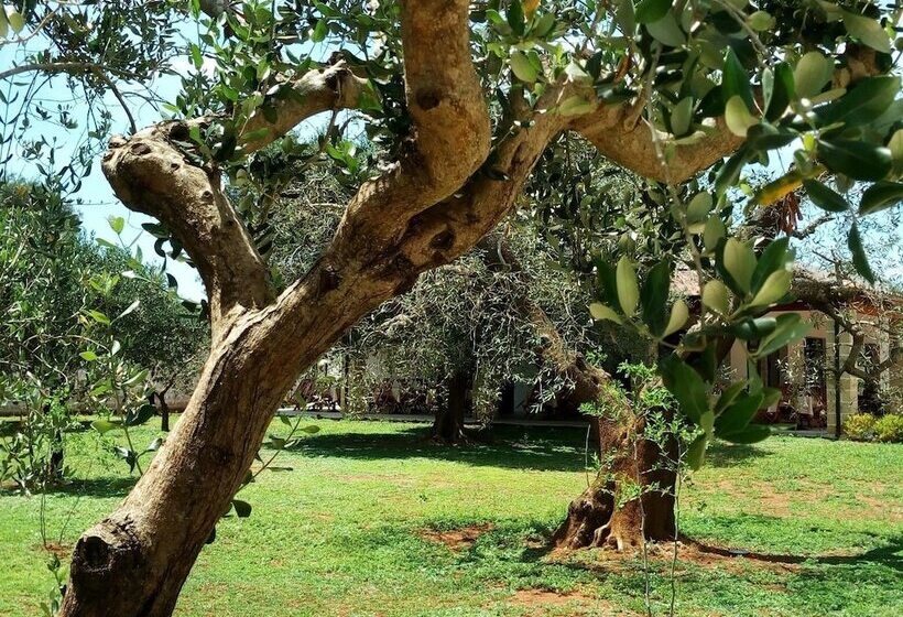 مبيت وإفطار Residence Gli Ulivi