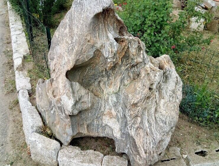 بنسيون Affittacamere L'oasi Di Gino