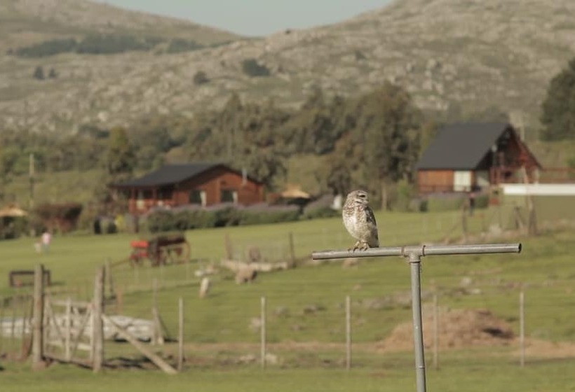 Cabañas Valle De Los Ciervos