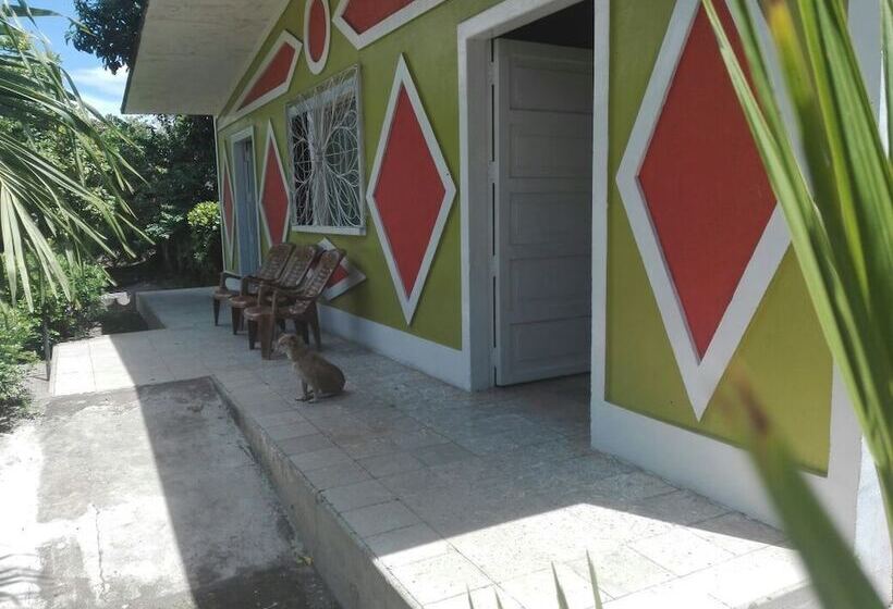 Hostel Coco's