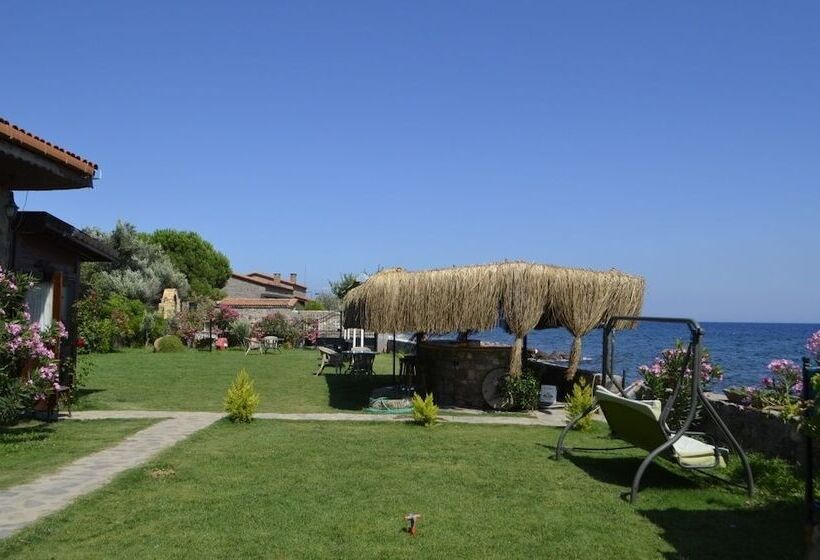هتل Assos Sardunya Butik