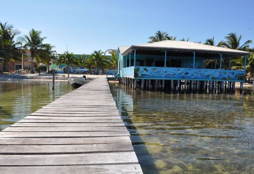 בית מלון כפרי Rainbow