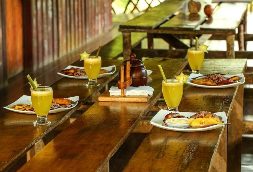 فندق Tapir Lodge