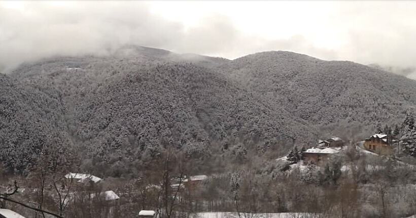 بنسيون Fonda Cal Daldó